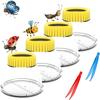 Attrape-insectes Loupe 5X Pot à Insectes Kit d'Observation Visionneuse d'Insectes Règle intégrée de 7 cm avec 2 Pinces en Plastique Kit Attrape-insectes pour Enfants Science Nature