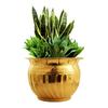Brass Matka Shape Home Decor Planter, Home Décor, Planting, Size- 6X8 Inches, 1 Piece
