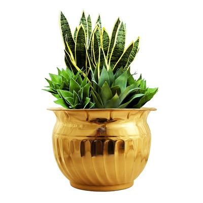 Brass Matka Shape Home Decor Planter, Home Décor, Planting, Size- 6X8 Inches, 1 Piece