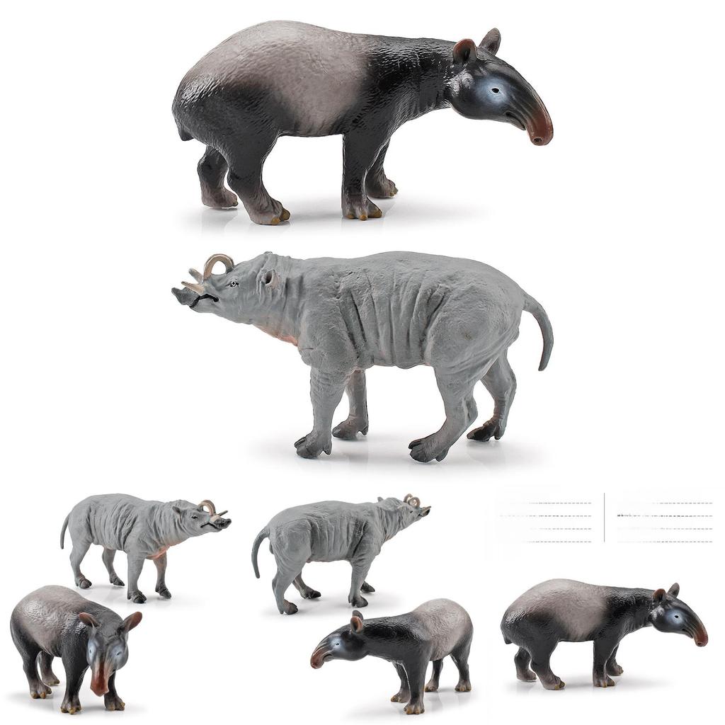 Babyrousa Pvc Wild Animal Models Set For Nature Study And Collection
