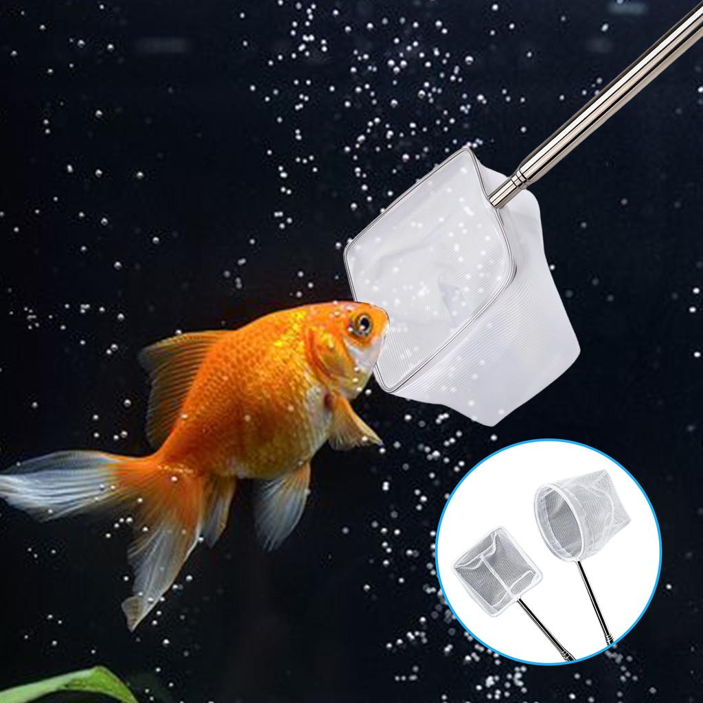Adjustable Telescopic Fish Net For Aquarium Cleaning With Stainless Steel Handle And Fine Nylon Mesh for Tanks Cleaning
