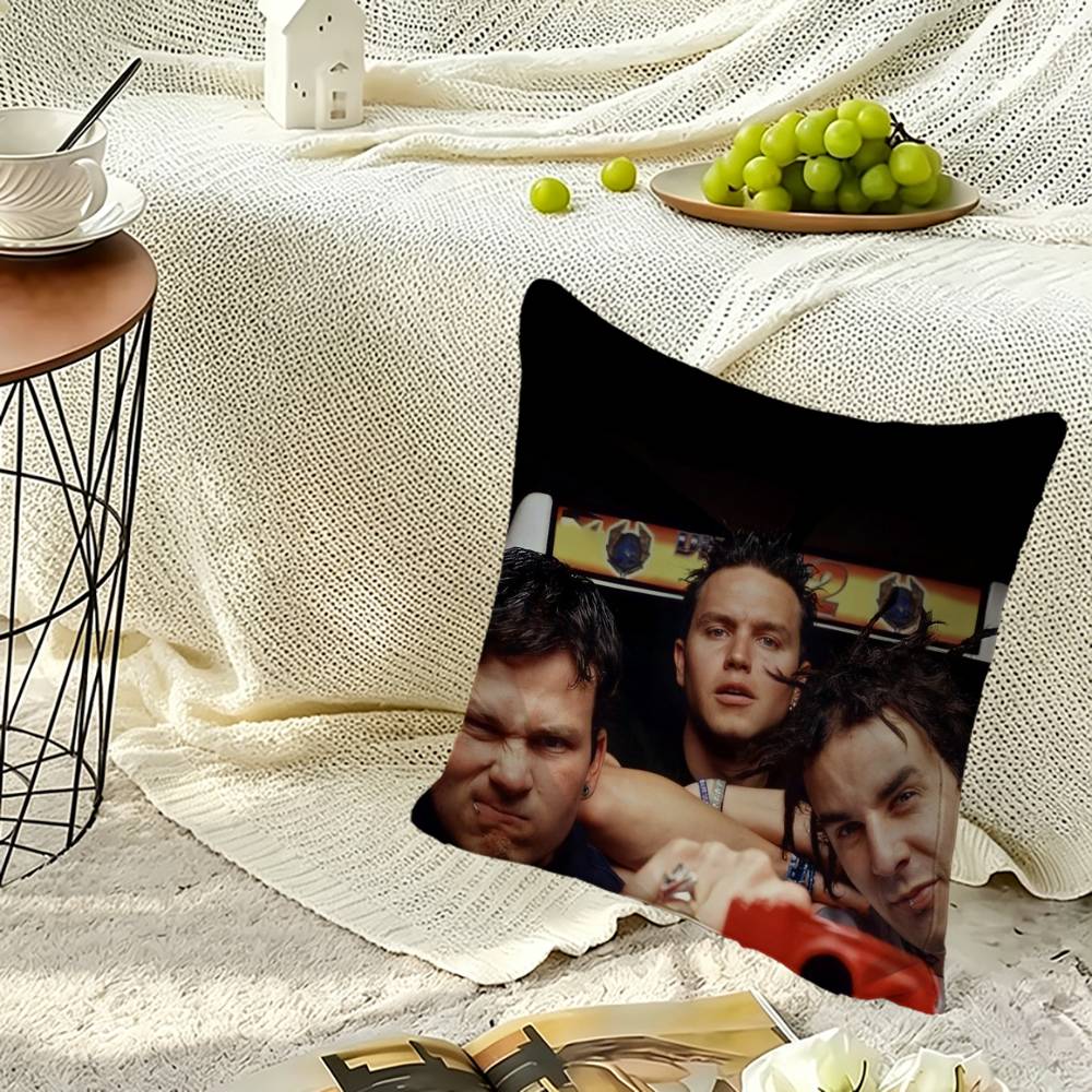 b-Blink-182 B-Band Pillow Case Sofa Living Room for Bedroom Headboard Backrest Cushion Square Nap Time