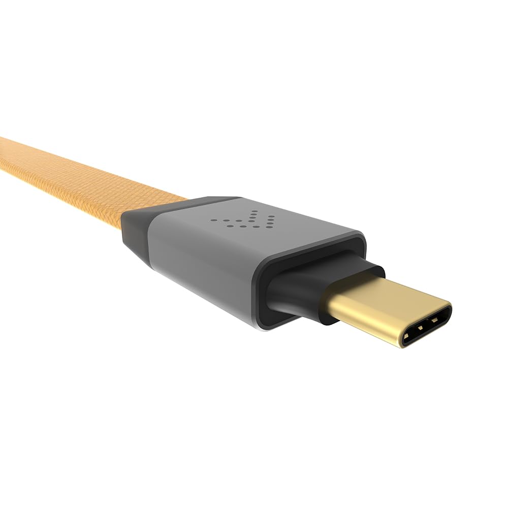 SilentPower Pulsar USB from an Authorized Japanese Conditioner [Ships Retailer] SLP-PULSAR-USB Type-C