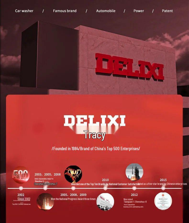 Delixi 250 Mini Electric Welder, 220V Handheld for Home Use