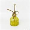 Retro Embossed Glass Spray Bottle – Small Pressure Watering Can for Garden & Home Flowers