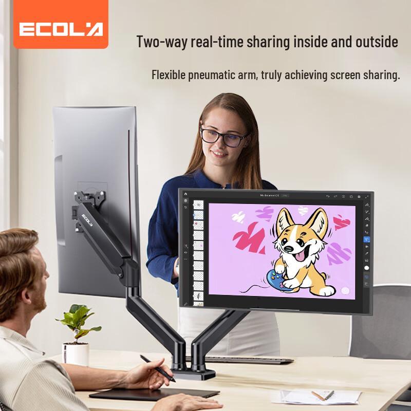 ECOLA Dual Monitor Desk Mount Stand