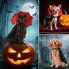 Costume Cape d'Halloween pour Animal de Compagnie avec Ailes de Chauve-Souris Cape de Vampire Réglable pour Chiot Chaton Chien Chat Fête Cosplay Décorations de Fête