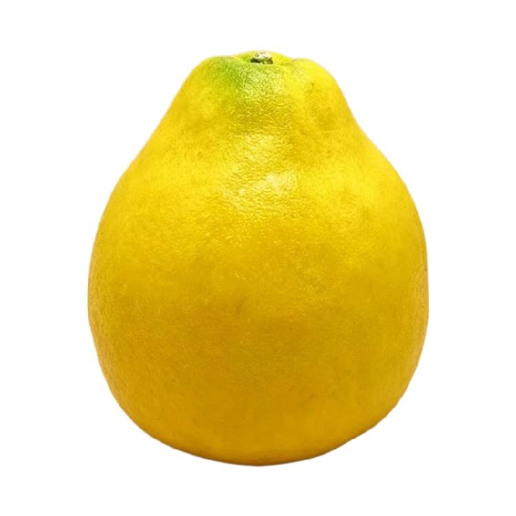 

Plastic Simulated Citrus Fruit Decoration Yellow Grapefruit Ornament For Living Room And Event Styling 1