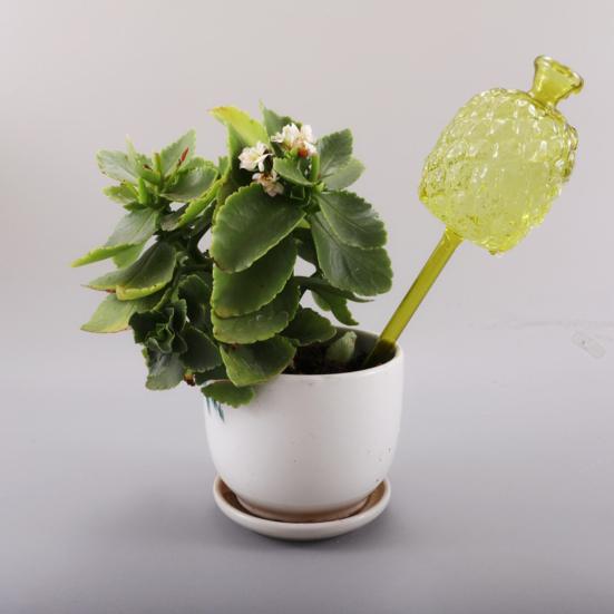 Self Watering Bulbs Pineapple Design Plant Watering Globes Planter Insert Automatic Watering Device for Indoor Outdoor Potted Plants