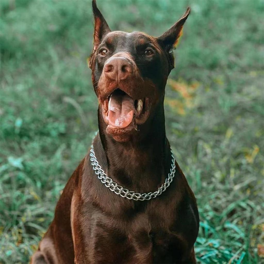 Silver Dog Choker Collar,2 Rows Stainless Steel Dog Chain Cuban Link Metal Martingale Collar Heavy Duty Training Choke Collar for Small Medium Large