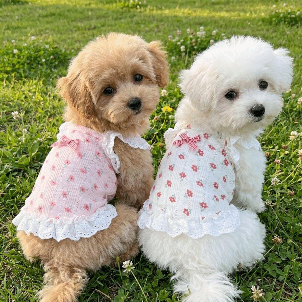Lace Trimmed Pet Camisole Vest Flower Pattern Puppy Clothes Sweet Cat Lace Camisole  Summer Wear