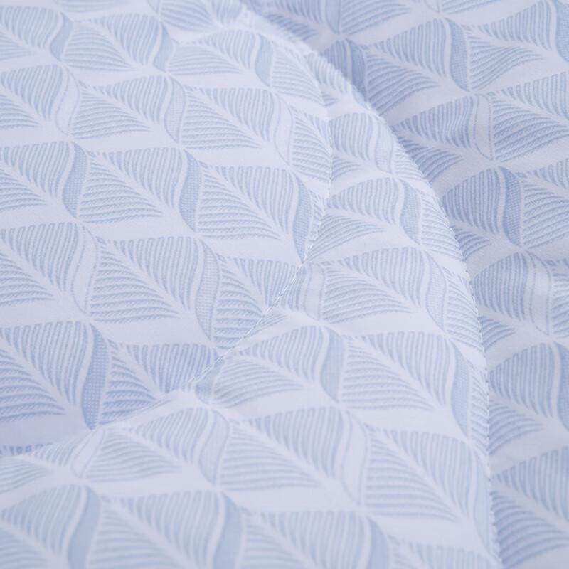 Mercury Home Textiles DH Four Seasons Negative Ion Quilt