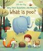 Lift-The-Flap Very First Questions & Answers. What Is Poo?