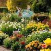 Iron Bird Feeder Ground Plugin Durable Bird Feeding Dish Bird Raising Tool Bird Water Bowl  Outdoor