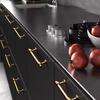 American PVD Zinc Alloy Furniture Handles Dresser Drawer Knobs Kitchen Cabinet Pulls
