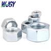 Stainless Steel Hex Nut