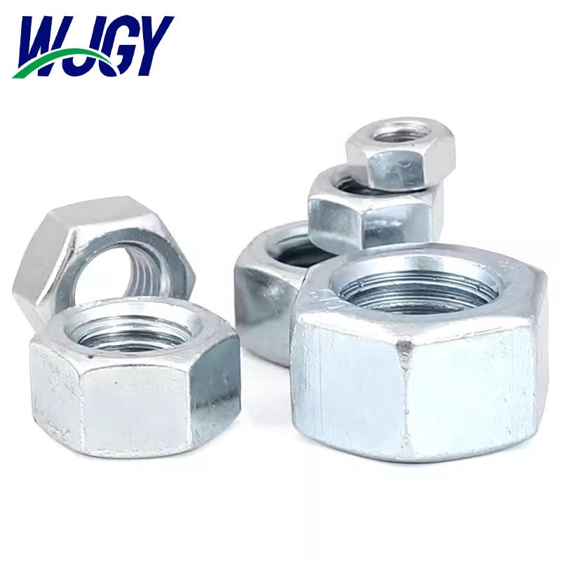 Stainless Steel Hex Nut