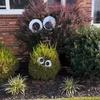 8 ks Halloweenské oči pro keře Velké Googly Eyes Samolepicí samolepka Halloween obří oči pro domácí kutily
