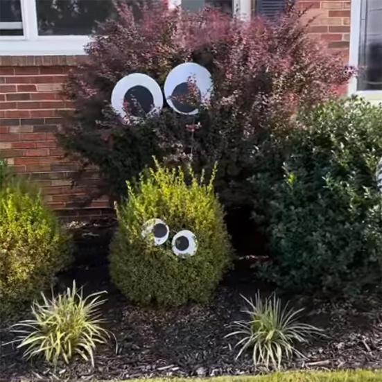 8 ks Halloweenské oči pro keře Velké Googly Eyes Samolepicí samolepka Halloween obří oči pro domácí kutily
