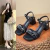 Fashion Shoes Ladies' Slippers Square Heel Slipers Women Soft Block 2025 Slides Scandals Spring Square Heel Female Shoes Womens Slippers