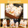 Endearing Plush Short Bunny With Carrot  Kids Perfect Birthday Gift Celebrations