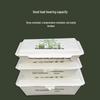 JingJingRS Panda Pattern Disposable Takeaway Boxes