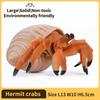 Hermit Crab Figurine Sea Life Animals Model Figure Educational Toy Boys Girls Kids Ages 18M for and Kid Friendly Entertaining Fun Play Safe