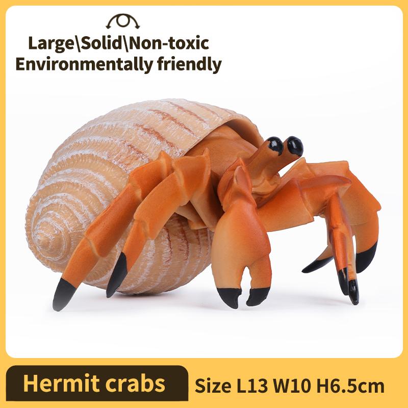 Hermit Crab Figurine Sea Life Animals Model Figure Educational Toy Boys Girls Kids Ages 18M for and Kid Friendly Entertaining Fun Play Safe