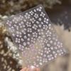 Cherry Blossom Pink Flower Sakura Spring 5D Nail Art Sticker Gold Stamping Soft Adhesive Relief Adhesive Chic Manicure Decals
