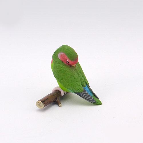 Good Morning Bird Series Gashapon Toys Budgerigar Cockatiel Lovebird Action Figure Model Ornaments Toys