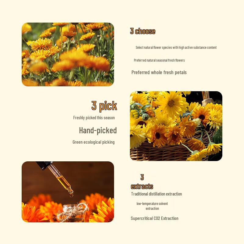 Miss Lilly Calendula Petal Shower Gel
