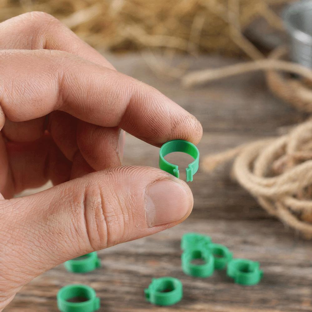 100Pcs 18mm Chicken Feet Ring Green Color Duck Feet Ring Breeding Foot Ring  Duck Farming