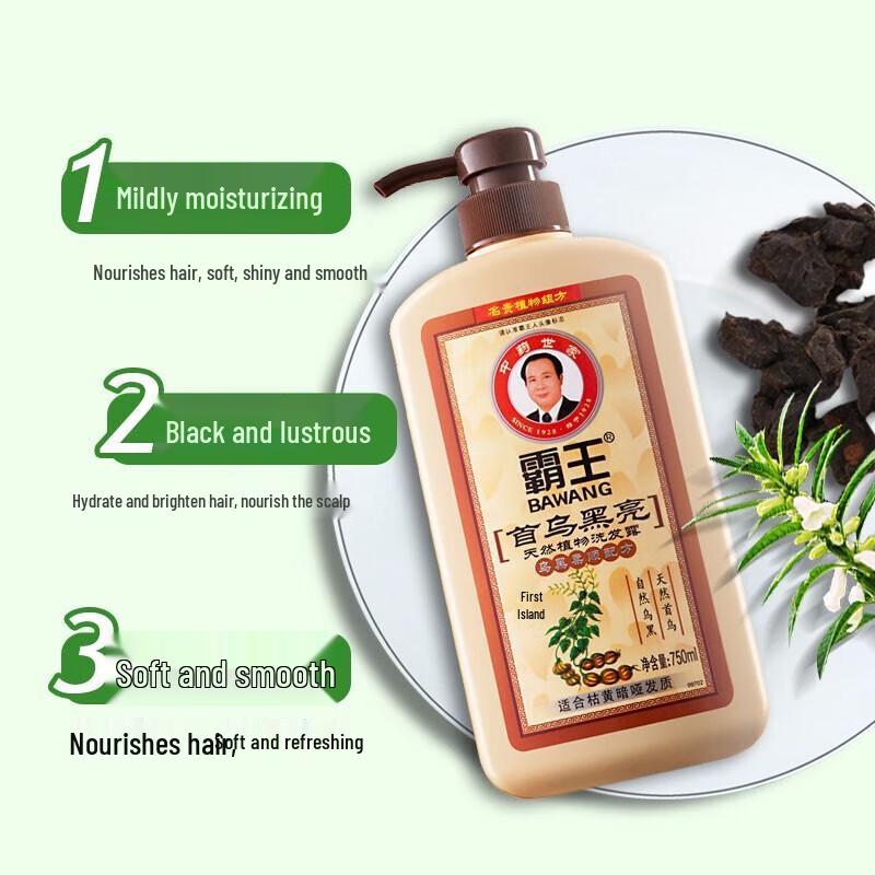 BaWang He Shou Wu Blackening & Brightening Shampoo