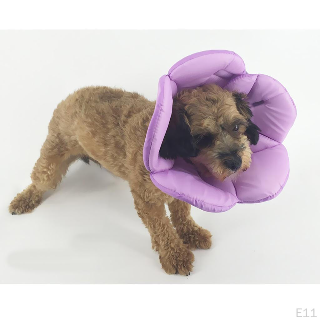 Adjustable Collar Pets From Scratching And Biting