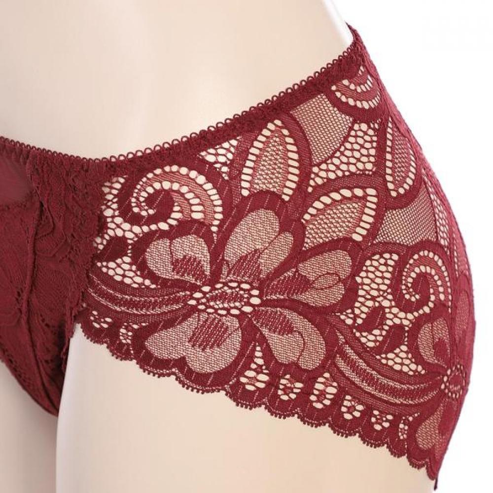 Barbara Lace Triangle Panty 2color Bp4459
