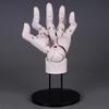 Super Movable 1:1 Hand Model, Finger Joint, Bionic, Painting Plain Art, Model Ornament Boxed Figure