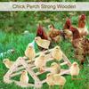 Chicken Perch Jungle Gym Roosting Bar, Pine Wood, Large