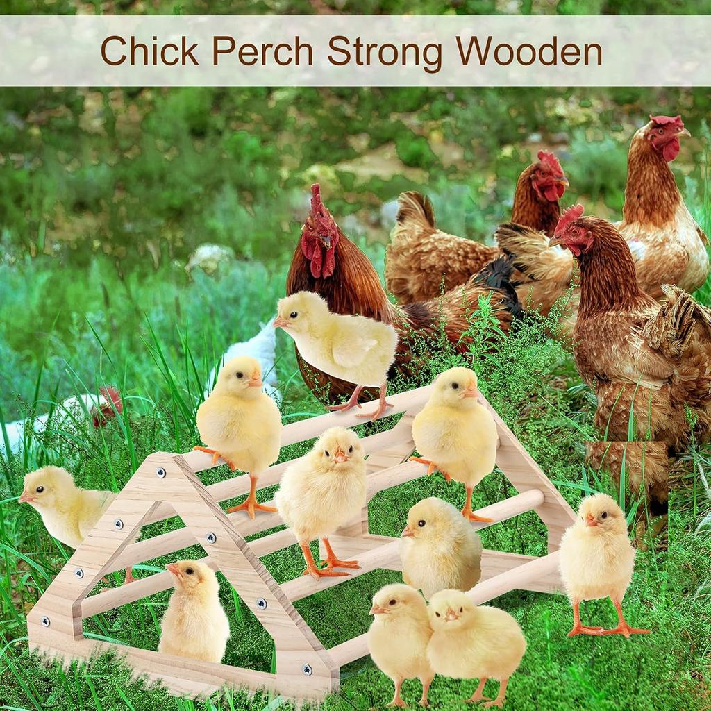 Chicken Perch Jungle Gym Roosting Bar, Pine Wood, Large