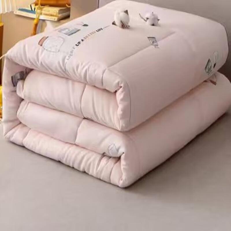 

Shanshan All-Season 95% White Duck Down Duvet