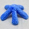 Take Off Mysterious Touch Pokepuni Blue Starfish