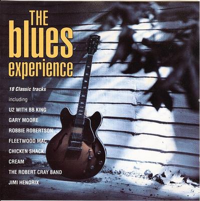 CD VARIOUS - The Blues Experience 5162282 PolyGram TV Europe Rock Gebraucht