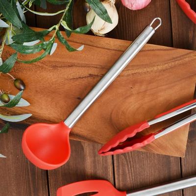 Vivid Stainless Steel Handle Silicone Ladle