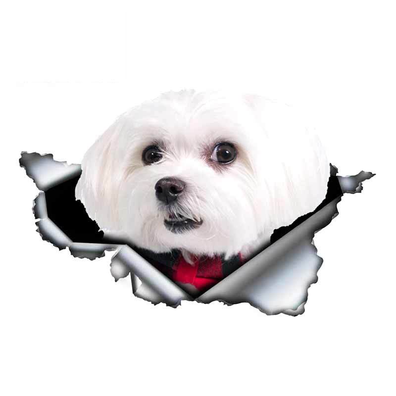 13cm X 6cm 1 Pcs Cute Maltese Car Sticker Pet Dog Car Decoration Torn Metal Decal Reflective Sticker Waterproof Car Styling