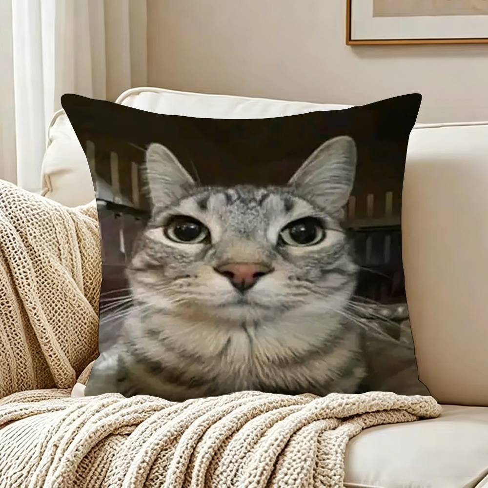Cute Cat Thousand Yard Stare Meme Pillow Case Living Room Sofa Cushion Cover Suitable For Home Bedroom Room Decoration