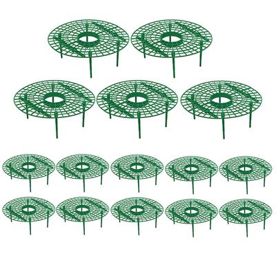 Strawberry Supports Keep Berries Clean Keeping Plant Fruit Stand Vegetable Growing Rack for Protecting Strawberries