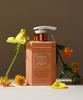 Teabless [perfume Line] Sweet Tea Body Lotion Floral Fragrance 480ml