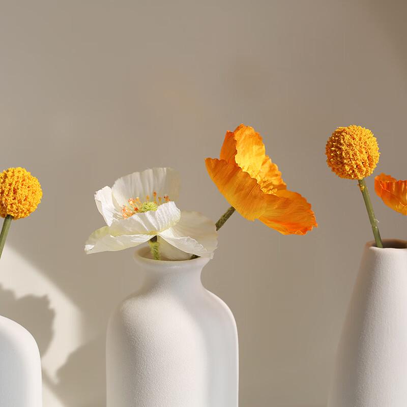 Minimalist Ceramic Dry Flower Vase