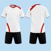 Women's & Men's Volleyball Team Uniform Set - Short-Sleeved, Professional Training Suit with Printed Numbers