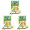 Tetley Green Tea Bags, Ginger Mint Lemon, 25 Tea Bags (Pack of 3)