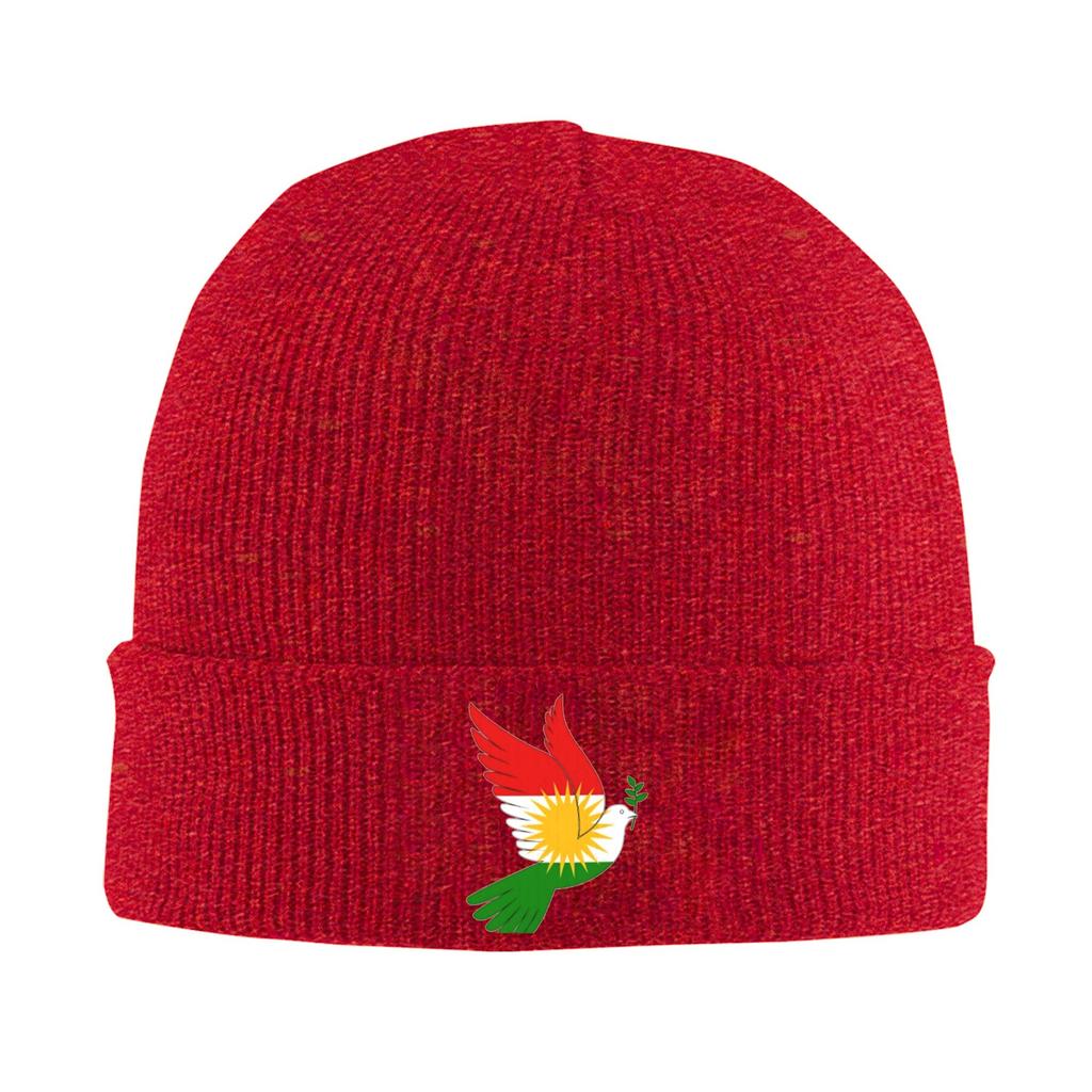 Kurdistan Flagge Mützen Bonnets Männer Frauen Lässig Kpop Mützen Beanies Frühling Design Warm Weich Mützen